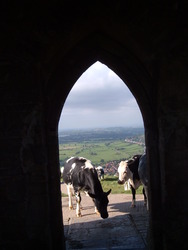 Glastonbury Research Photos